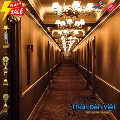 Đèn trang trí tại Thành Phố Cà Mau